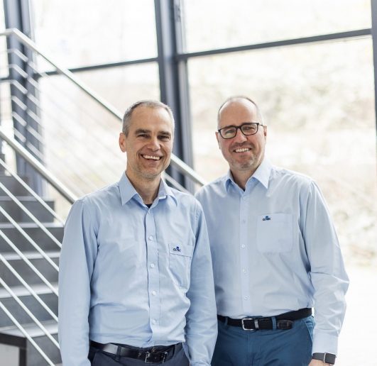 Management of GOTEC Brake Disc Coatings